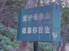 -紫金山山顶公园