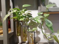 -老陈家擀面皮(平凉路店)