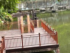 -重庆彩云湖湿地公园