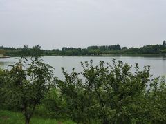 -东郊湿地公园