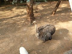 -昆明动物园