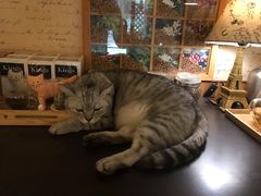-隅cafe(傅厚岗店)