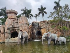 -美的鹭湖探索王国