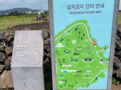 -涉地可支