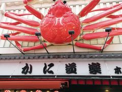 -蟹道乐(道顿堀本店)