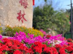 -广东天露山旅游度假区