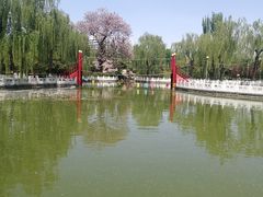 -丰台花园