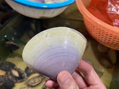 -万尾金滩