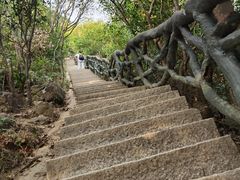 -梧桐山风景名胜区