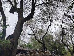 -恭王府博物馆
