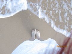 -日照海滨国家森林公园