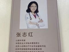 -美联众合动物医院·24h转诊中心