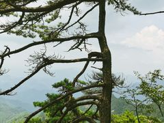 -明堂山风景区
