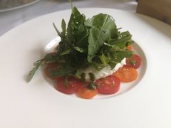 -蝶舍·MAISON PAPILLON