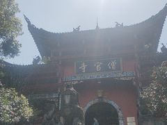 -铁山坪森林公园