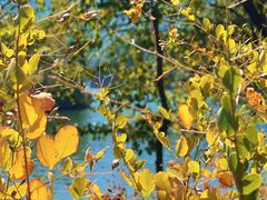 -玉渡山自然风景区