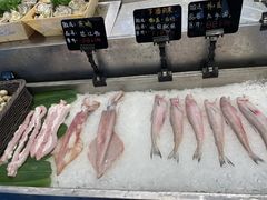 -飞尝蚝·顺德菜·鱼生(顺德总店)