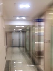 -碧莲盛·不剃发植发