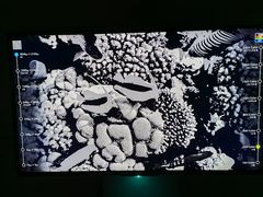 -朝阳公园游乐园