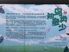 -芒洲湿地公园