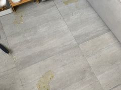 -美迦爱-牙专科·兔科·骨科诊疗中心(北苑店)