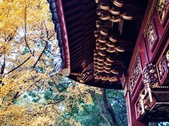 -汇龙潭