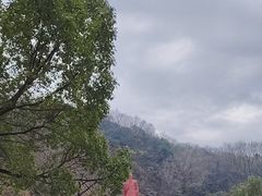 -陶祖圣境风景区