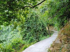 -火炉山森林公园