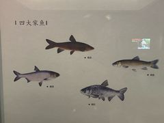 -湖州博物馆