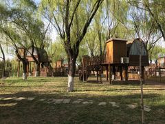 -安德鲁户外烧烤帐篷营地(马泉营店)