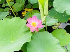 -西海子公园