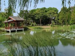 -梁鸿国家湿地公园