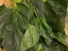 -蝎王府羊蝎子(西直门店)