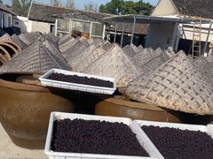 -苏州市吴中区光福窑上花果蜜饯厂