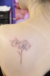 -MDZ STORE·TATTOO·耳饰