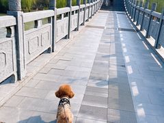 -东湖景区