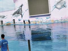 -北戴河圣蓝海洋公园