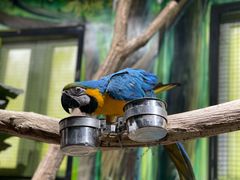 -海合安武汉极地海洋公园