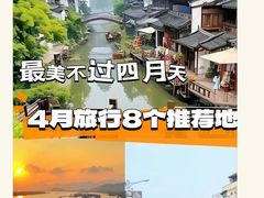 -西双版纳原始森林公园