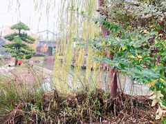 -溧阳天目湖天沐温泉