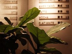 -Cafe on warm(丹霞店)
