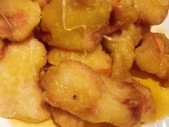 锅包肉-小俩口烧烤东北菜(双井店)