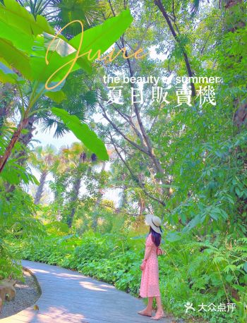 西双版纳穿越于傣王的御花园！