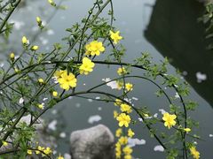 -尚贤河湿地