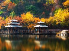 -九如山休闲旅游度假区