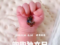 -爱月宝月嫂·育儿嫂(哈尔滨总店)