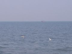 -东疆建设开发纪念公园