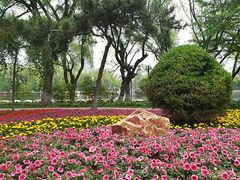 景点-沈阳南湖公园