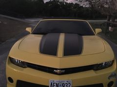 -丽姐租车
