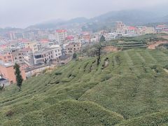-安溪清水岩